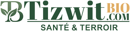 Logo3-100-2